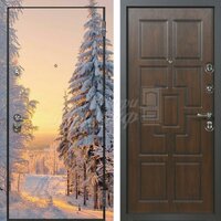 Металлическая дверь Фотопечать №289