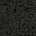 Крокодил черный
